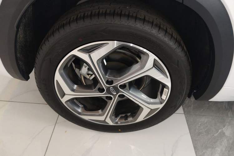 Used Geely Auto Monjaro L 2024 2.0TD DCT EVO Two-Wheel Drive Long-Range Version