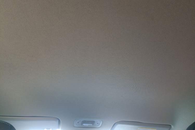 Used AION Y 2023 Plus 510 Enjoy Edition Headliner