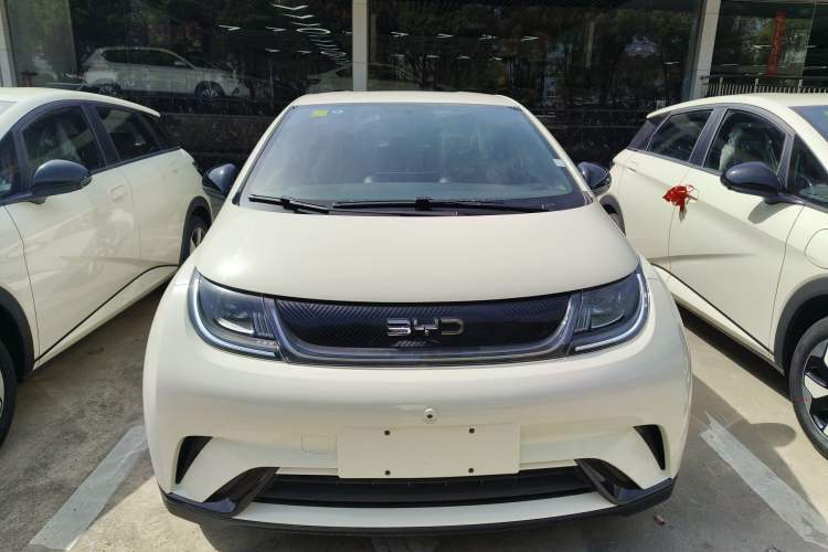 Used BYD Dolphin 2025 420km Free Edition
