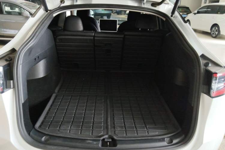 Used Tesla Model Y 2021 Standard Range Rear-Wheel Drive Version
