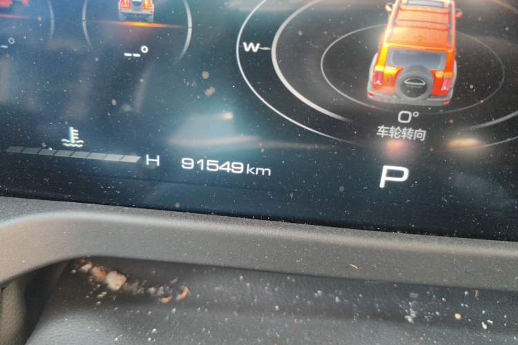 Used Tank 300 2021 2.0T Wind & Forest Iron Rider