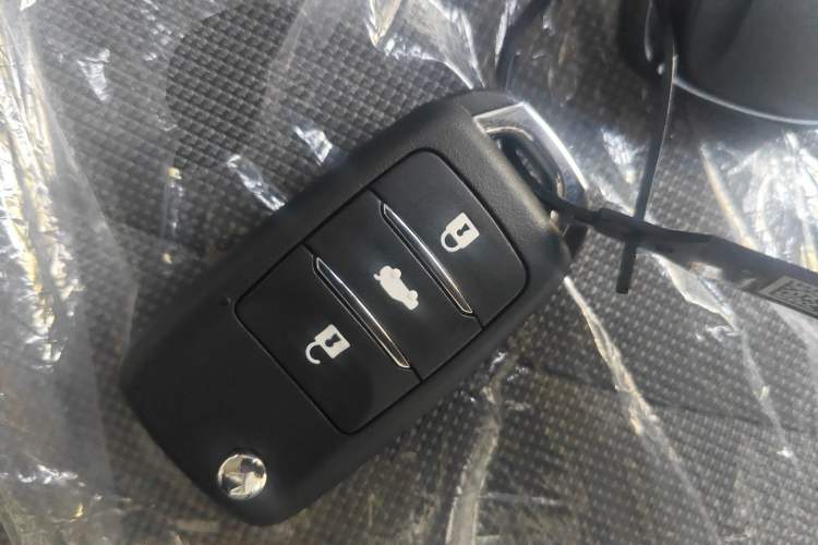 Used Qiyuan Lumin 2025 205 km Xiangqin Version