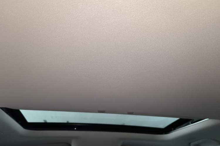 Used Tank 300 2025 2.4T Diesel Version Headliner