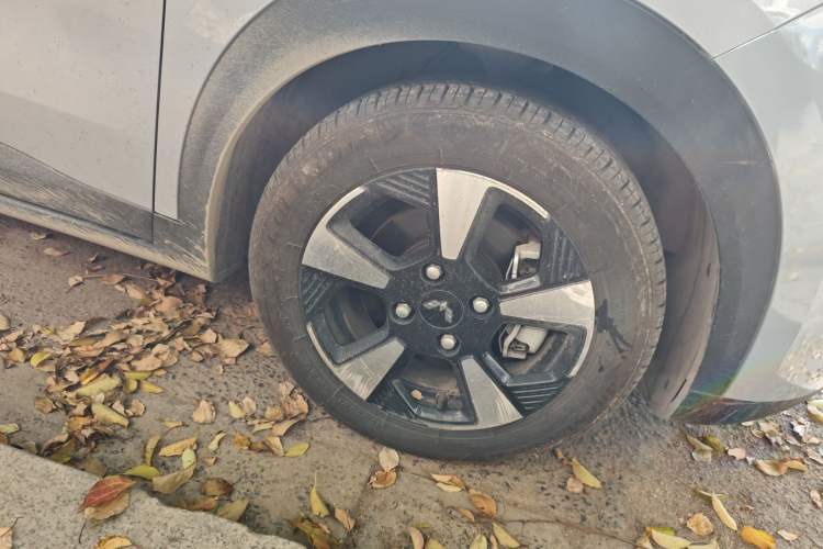 Used Wuling Bingo PLUS 2024 330 km Range Five-Seater Version
