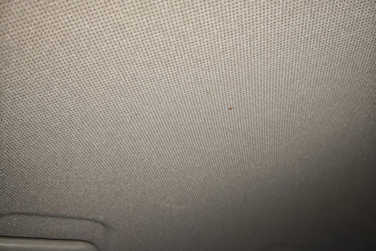 Used Wuling Hongguang MINIEV 2020 Zizai Version Lithium-NMC
