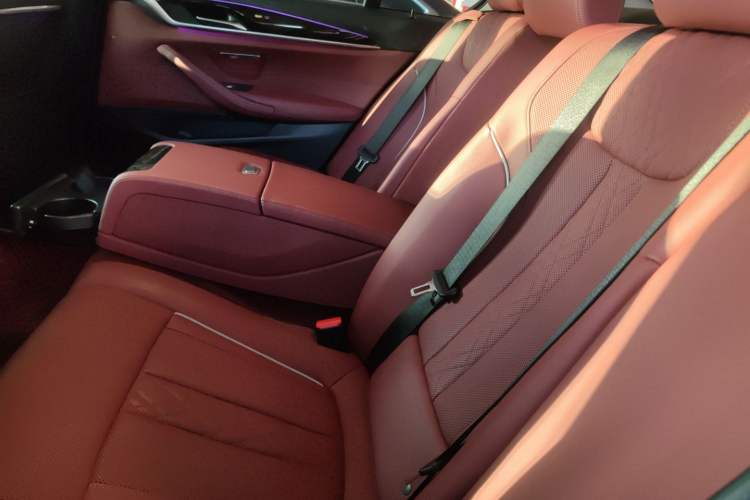 Used BMW 5 Series 2021 525Li Luxury Package Left Rear Seat