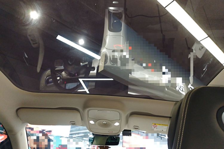 Used smart #3 2023 Pulse Four-Wheel Drive Edition Headliner