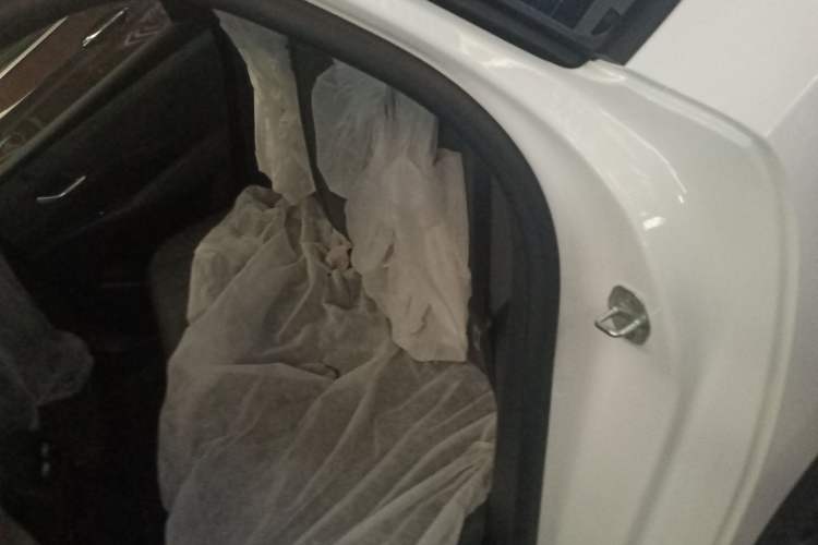 Used BYD Qin PLUS 2025 DM-i Smart Drive 55KM Leading Model Left Rear Seat