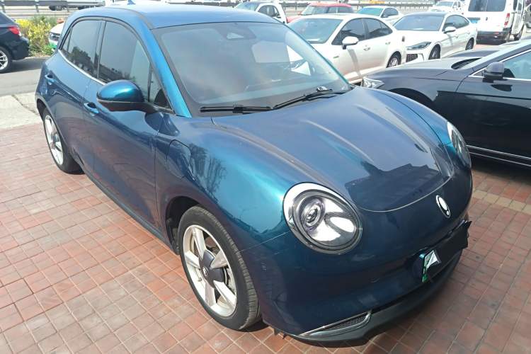 Used ORA Good Cat 2023 401 km Standard Range Luxury Version Lithium Iron Phosphate
