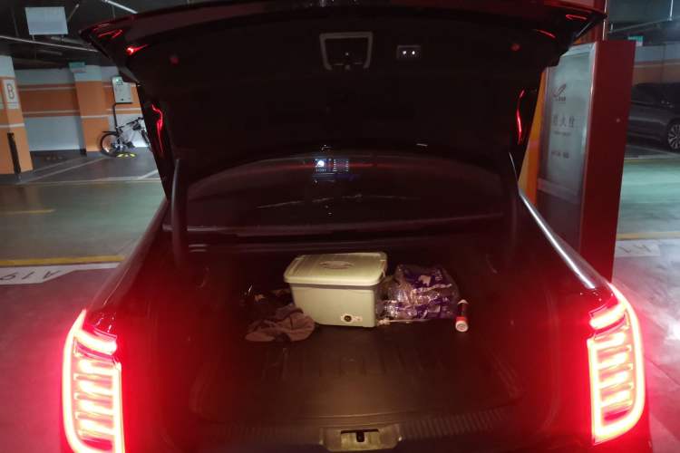 Used Hongqi H9 2020 2.0T Smart Connect Flagship Edition