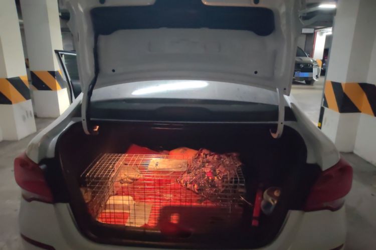 Used Chevrolet Cavalier 2018 320 Automatic Enjoyment Sunroof Edition
