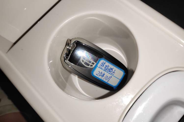 Used Geely Galaxy Panda 2025 210km Panda Rider