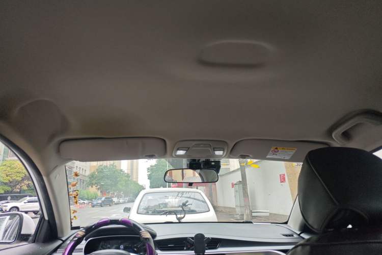 Used Geely Auto Emgrand New Energy 2019 EV500 Ambition Standard Range Edition Headliner