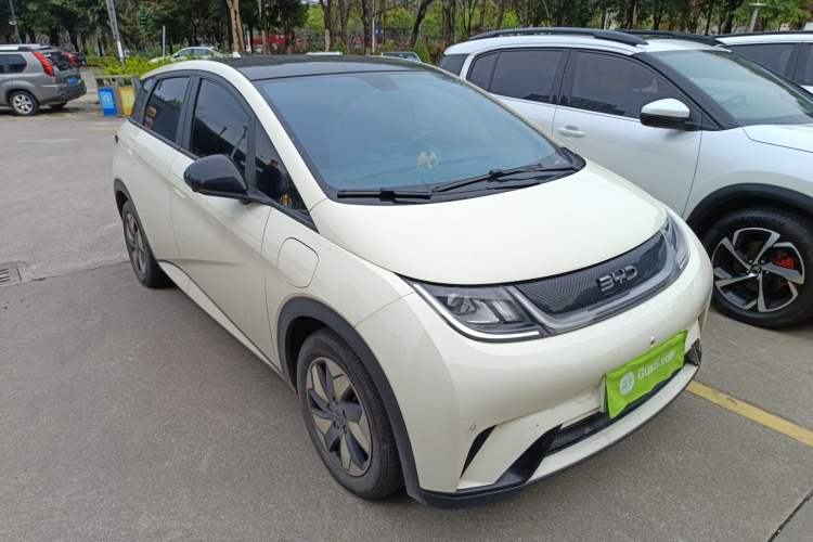 Used BYD Dolphin 2024 Honor Edition 420km Fashion Version
