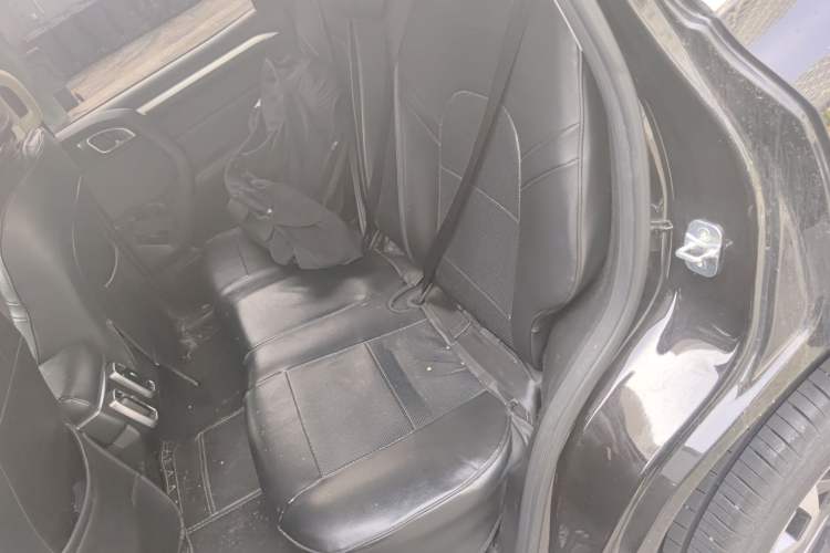 Used Haval DARGO 2021 2.0T DCT 4x4 Chinese Rural Dog Edition Left Rear Seat