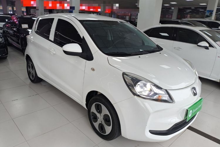 Used CHANGAN Benni E-Star 2021 National Edition Xin Yue Version (Fast-Charging Edition) Lithium Iron Phosphate (31.95 kWh)