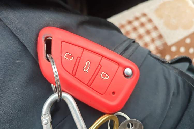 Used ORA Black Cat 2019 310km Fun Edition