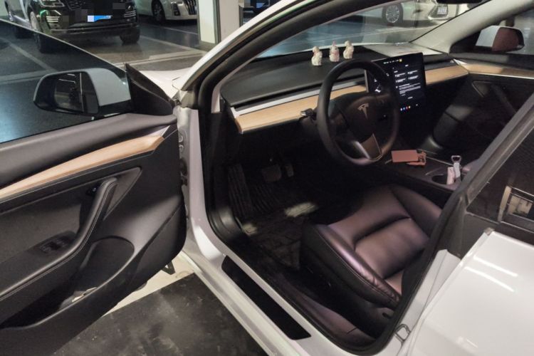 Used Tesla Model 3 2021 Standard Range Rear-Wheel Drive Upgraded Version 3D6