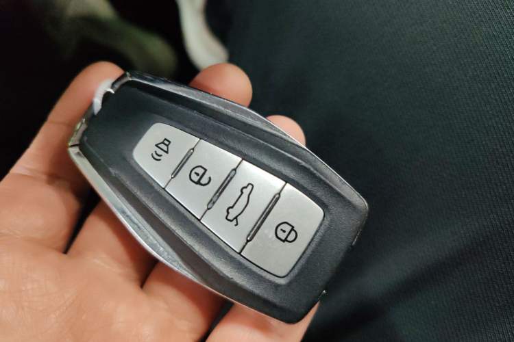 Used Geometry E Firefly 2022 401KM Lightning Tiger 4-Seater
