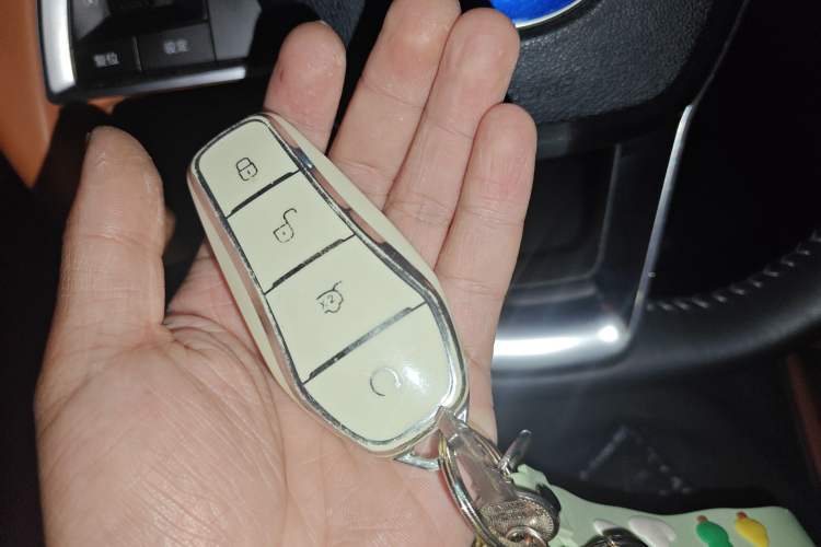Used BYD e2 2021 Luxury Model Vehicle Key
