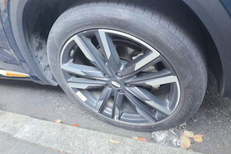 Used Geely Auto Monjaro L 2021 2.0TD DCT EVO Two-Wheel Drive Prestige Version