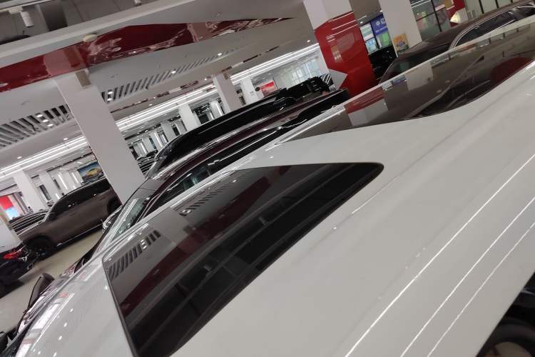 Used Denza D9 2022 DM-i 1040 Prestige Model Roof