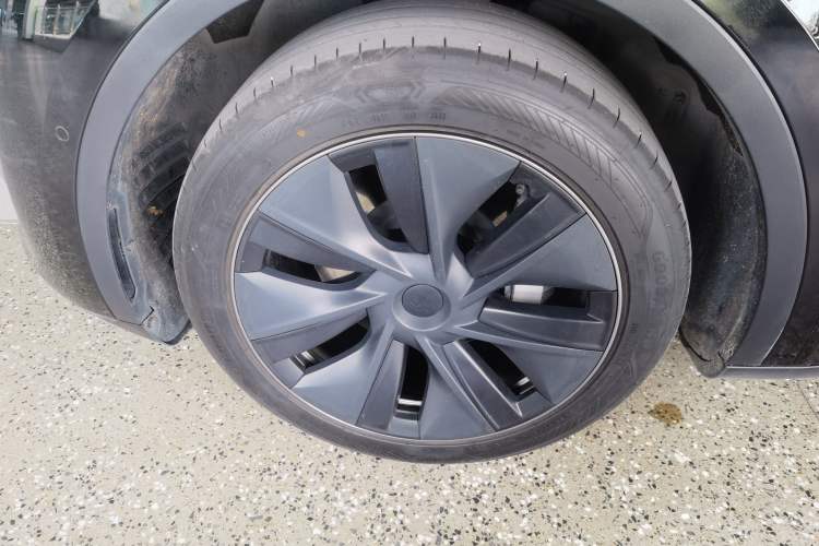 Used Tesla Model Y 2023 Rear-Wheel-Drive Version Exterior 4