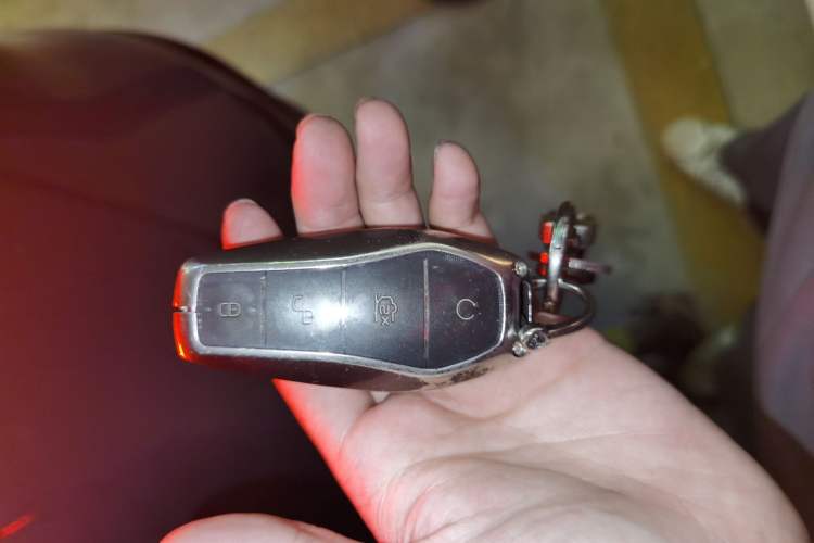 Used BYD Tang New Energy 2023 DM-i Champion Edition 112KM Prestige Model
