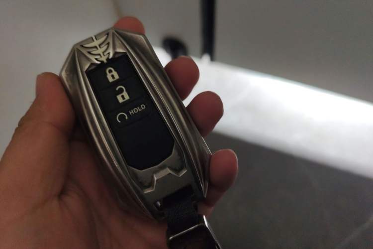 Used Tank 300 2023 City Edition 2.0T Essential Model