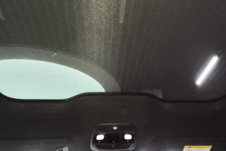 Used Nio EC6 2020 615 km Performance Edition Headliner