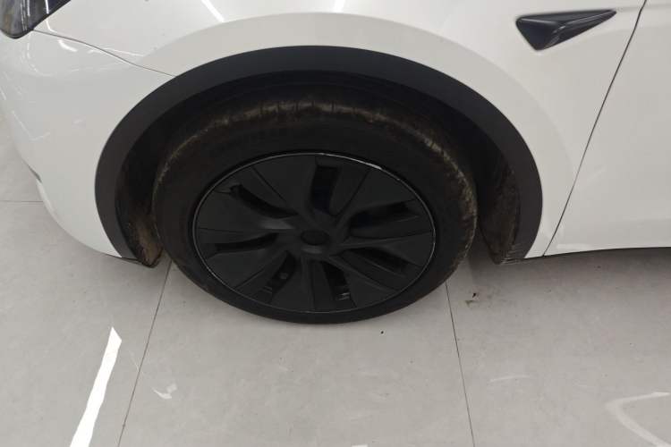 Used Tesla Model Y 2024 Rear-Wheel-Drive Version Exterior 4