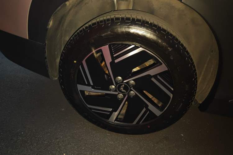 Used Wuling Xingguang S 2024 130 km Flagship Version
