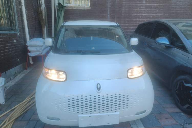 Used ORA White Cat 2020 305 km Luxury Version
