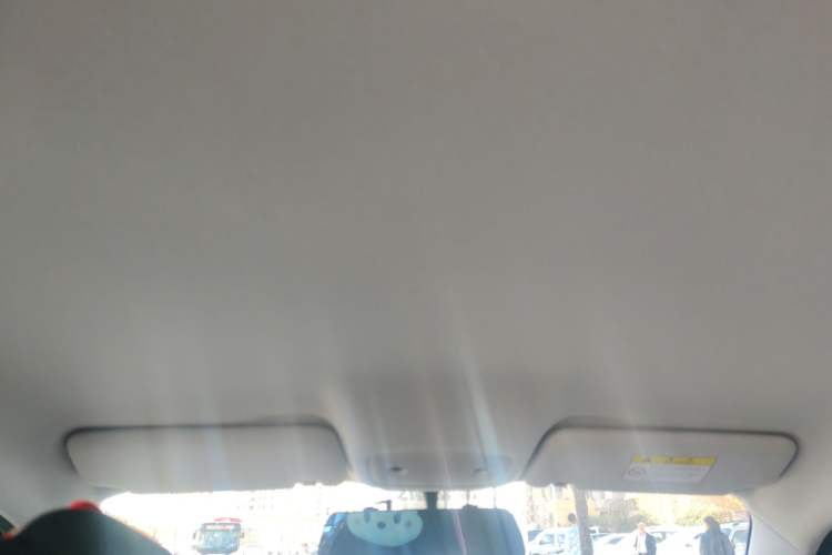 Used Leapmotor T03 2021 400 Lite Edition - Lithium-Ion Battery Headliner