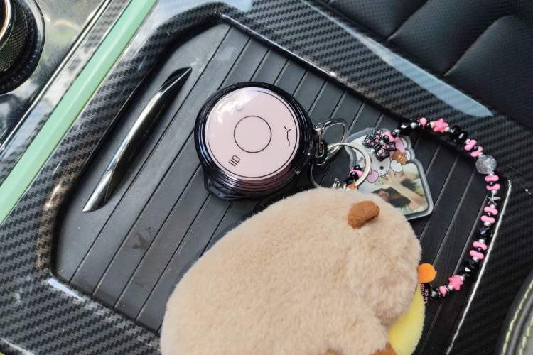 Used NETA U 2023 NETA U-Ⅱ Challenge Edition 400 Lite Lithium Iron Phosphate
