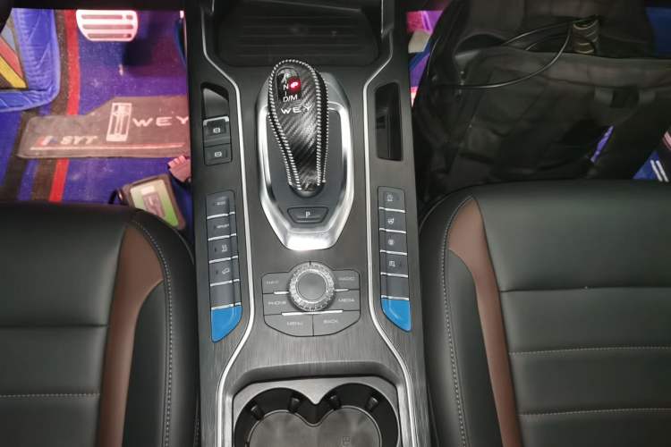 Used Wey VV5 2020 2.0T Two-Wheel Drive Pioneer