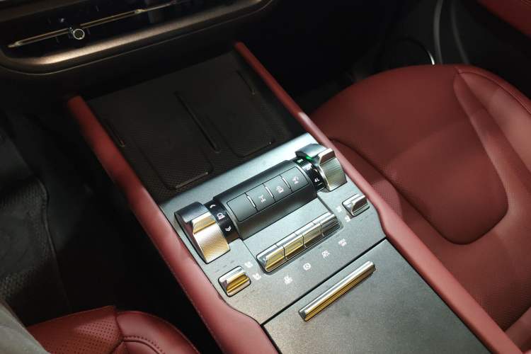 Used Tank 300 New Energy 2025 Hi4-T Gear Lever