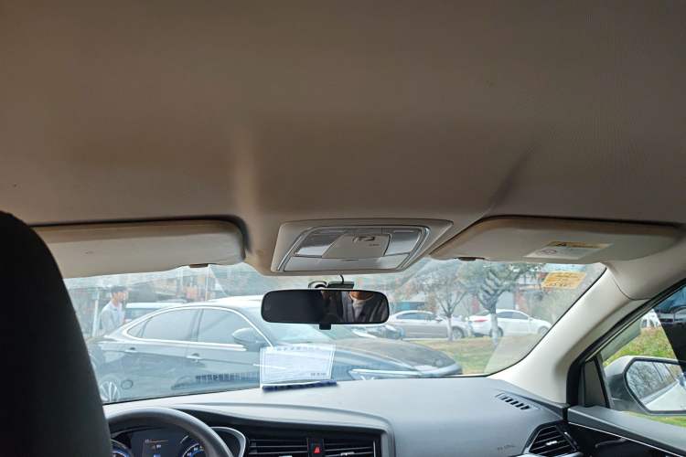 Used Venucia D60EV 2022 Standard Range Smart Drive Version Headliner