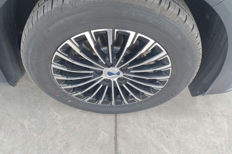 Used Denza D9 2022 EV 600 Four-Wheel Drive Flagship Model