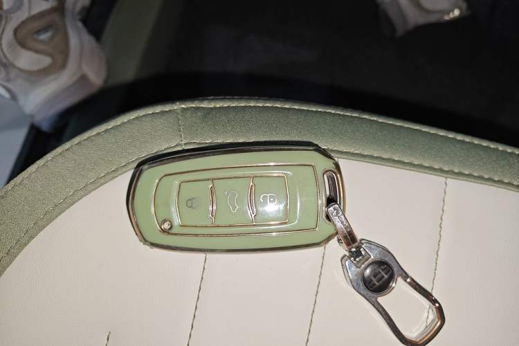 Used Geely Galaxy Panda 2025 210km Panda Rider
