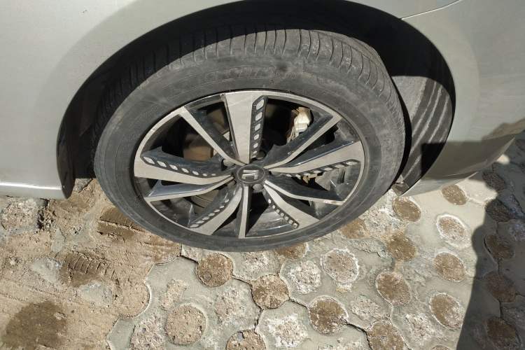 Used Rising ER6 2021 New Dynamic Edition 620km Smart Enjoyment Version
