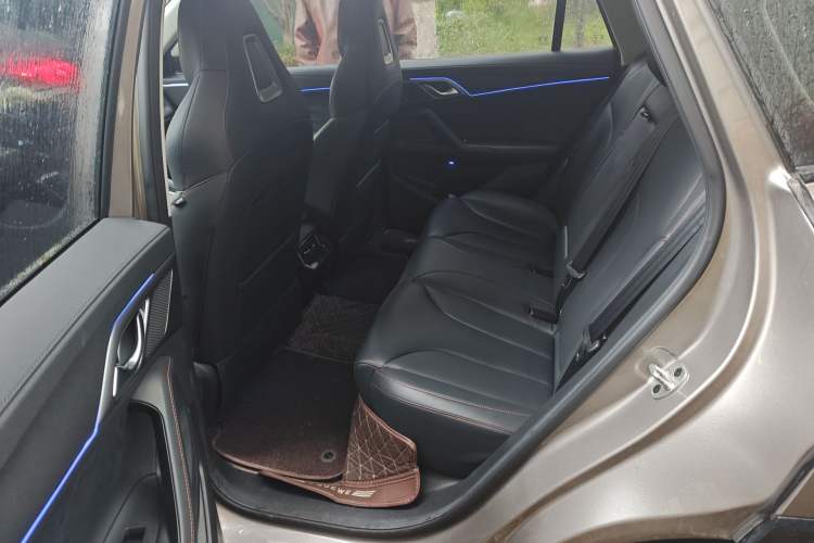 Used Roewe RX5 New Energy 2023 eRX5 Super Hybrid Prestige Edition Left Rear Seat