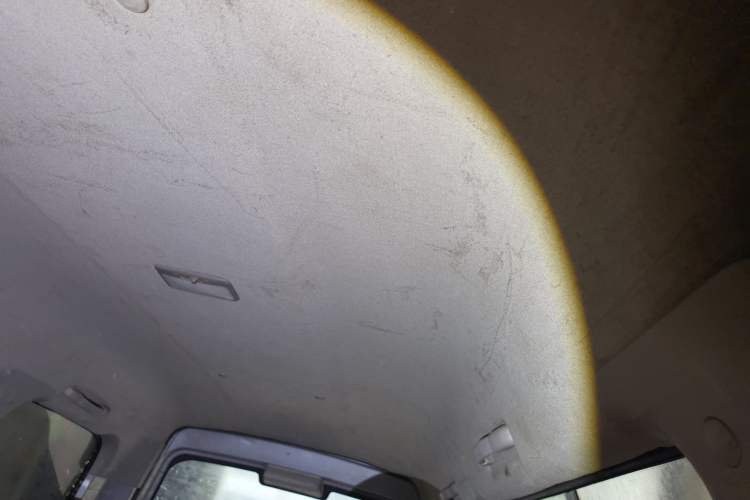 Used FORTHING Lingzhi 2018 M3 1.5L 5-Seat Base Model Headliner