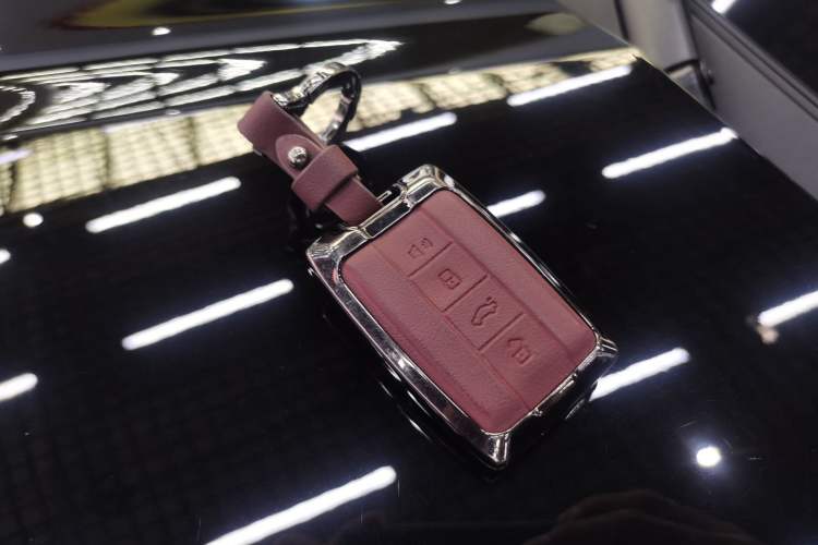 Used Tank 500 New Energy 2024 Hi4-T Vehicle Key