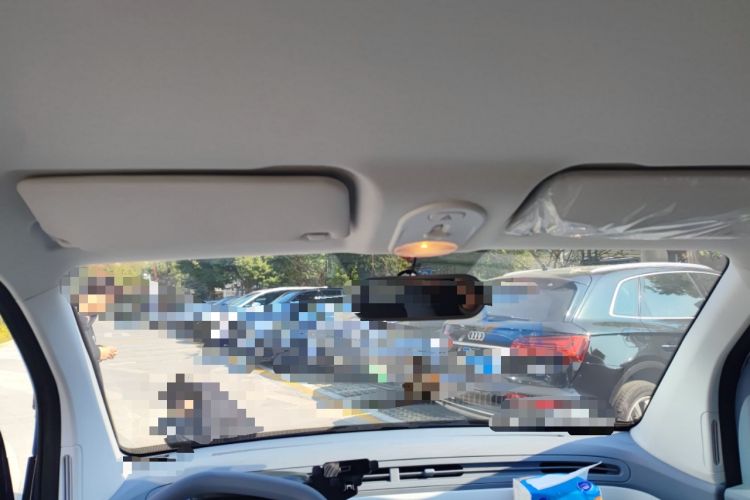 Used Bestune Pony 2025 222km Range Agile Horse