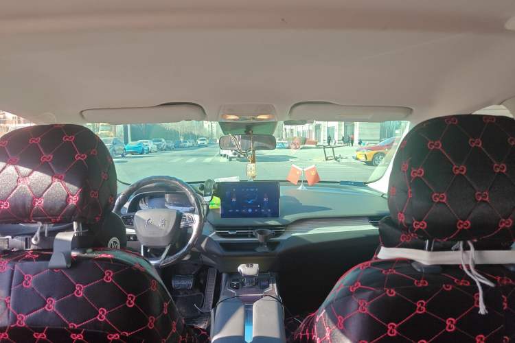 Used Hongqi E-QM5 2023 620km PLUS Headliner