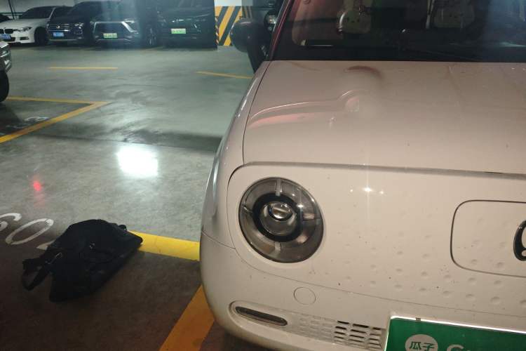 Used ORA Black Cat 2021 351 km Standard Version
