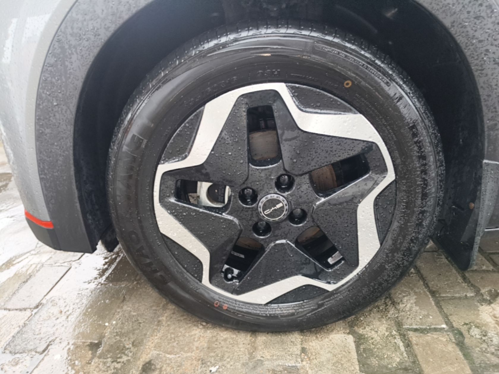 BYD Dolphin 2021 405 km Fashion Edition — снимка 10