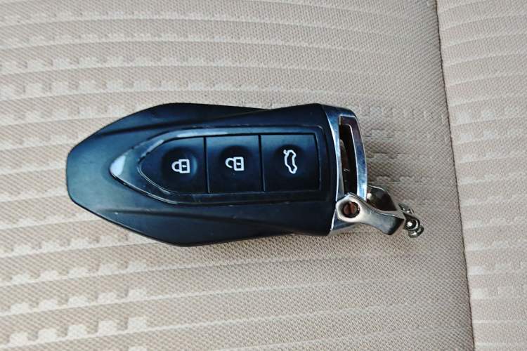 Used Leopaard CS9 2018 1.5T CVT Jingrui Model