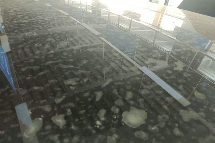 Used Nio EC7 2024 75 kWh